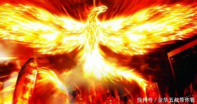 六翼天使|斗罗大陆：最强悍的五大兽武魂