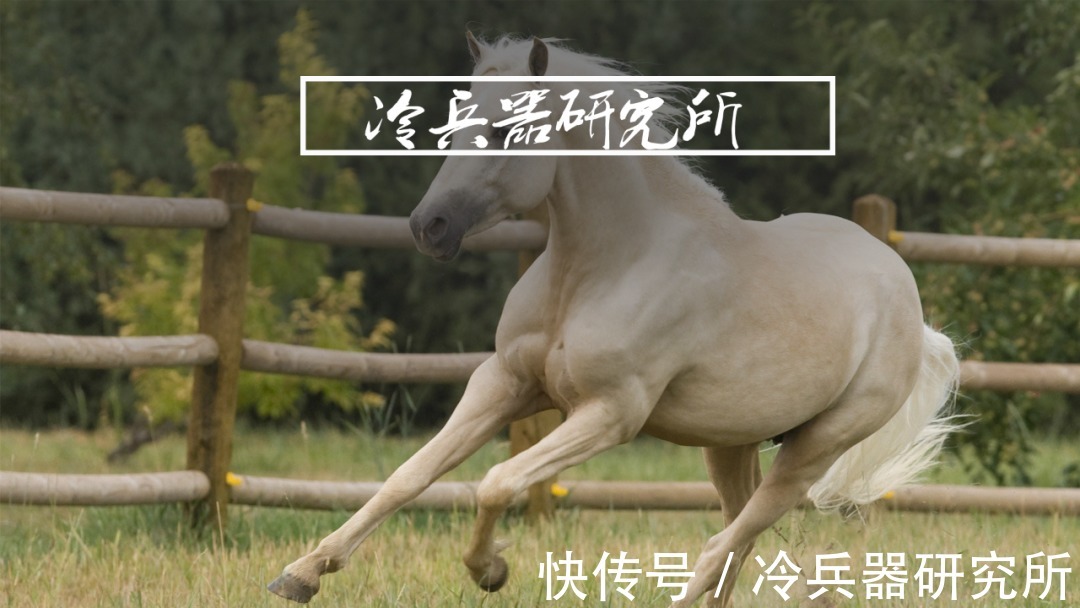 骑兵|同样农耕,为何中原一直缺马,欧洲却以骑士闻名?