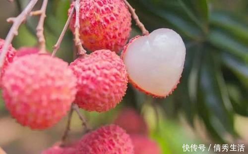 荔枝|6种水果有“寄生虫”,还能给孩子吃吗?医生建议:这些要少吃