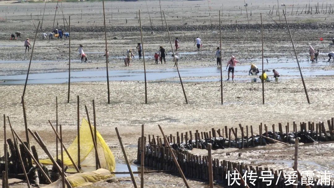 霞浦|国庆长假｜霞浦这些孩子在玩什么……