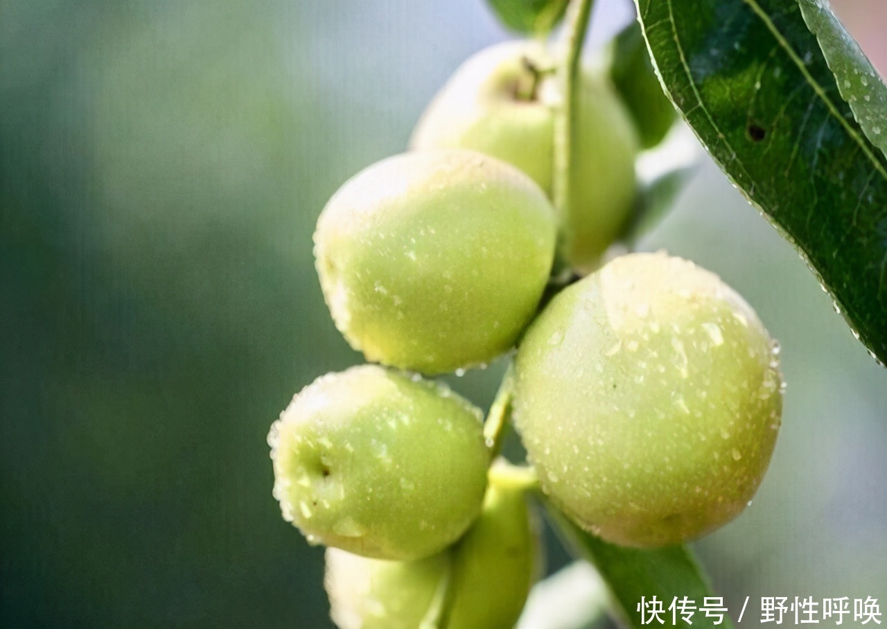 人体|女性过了40岁，三种食物要多吃，滋阴养肾，排出毒素，显年轻