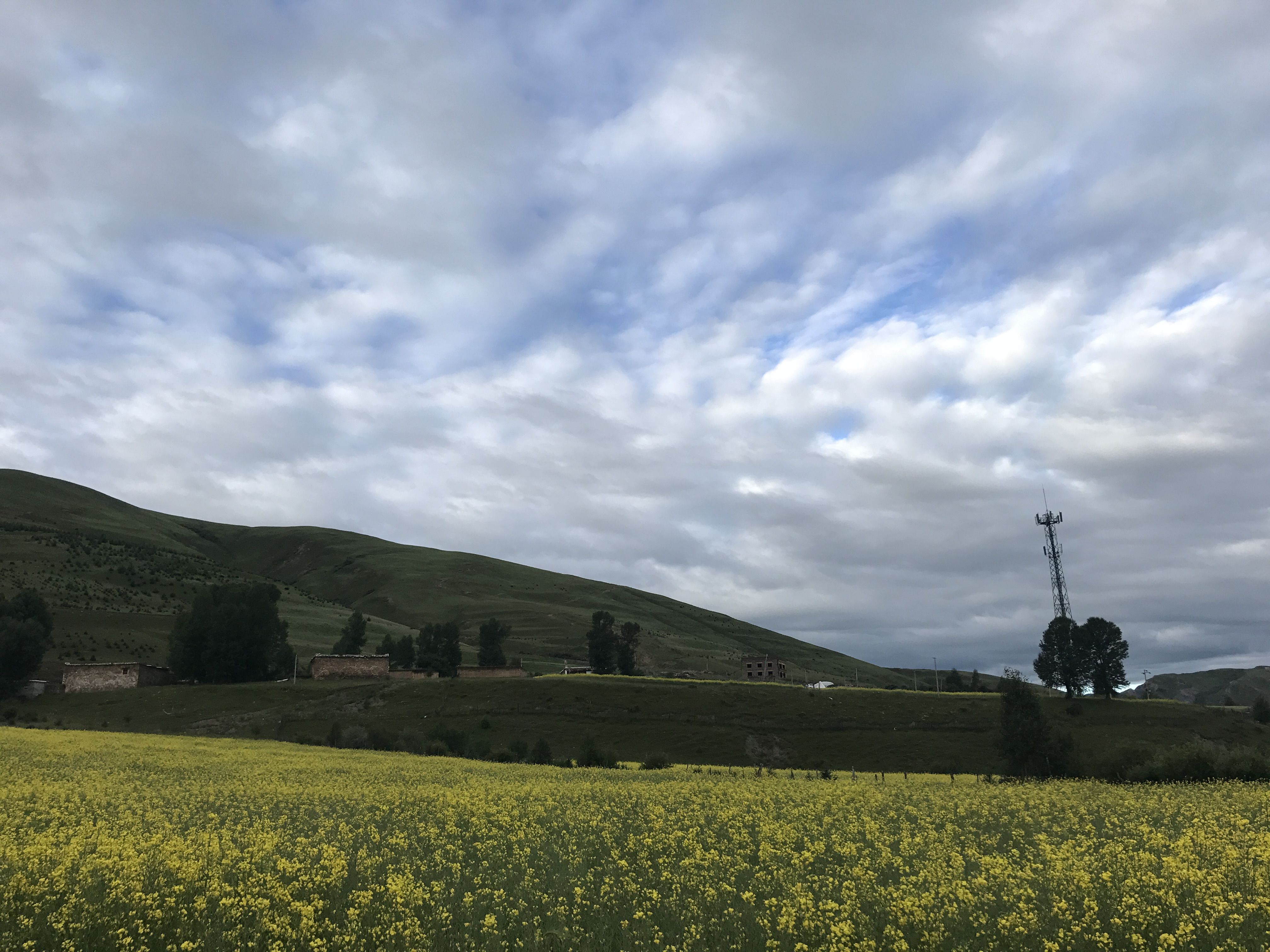 草坪|川西自驾游，美景看不够