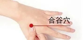 合谷穴|身上自带4个血压调节器,没事按一按,轻松调血压!