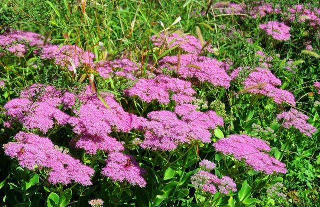 思念$守一座心城,想你到老