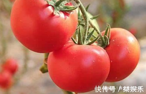 女性|女性想要皮肤好,3种食物当每天吃一些,滋养皮肤,防止干燥