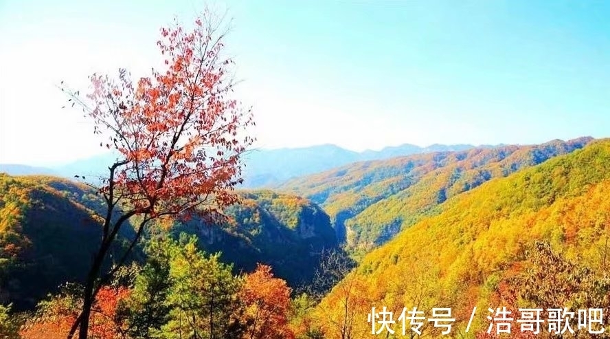 峡景|秋游米仓山，是一件惬意的旅行选择