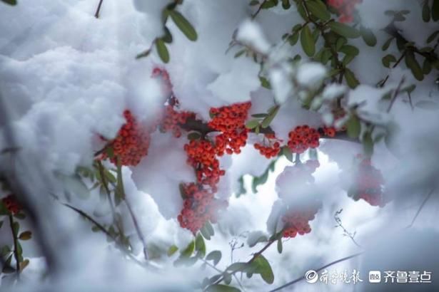 文登“雪窝子”名不虚传，雪后景致非凡