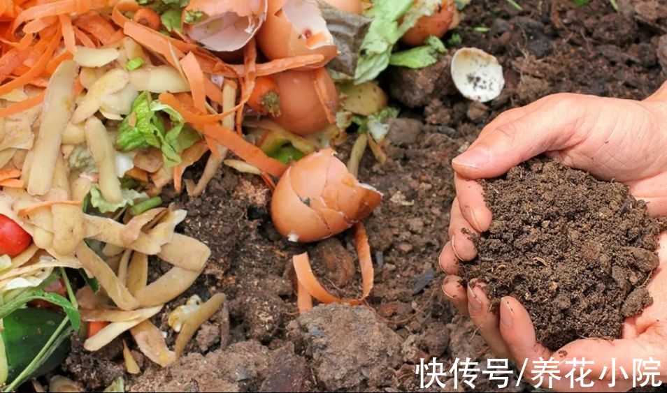 有机肥|花肥不用买,这些东西做成“花肥”,养什么花都长得旺