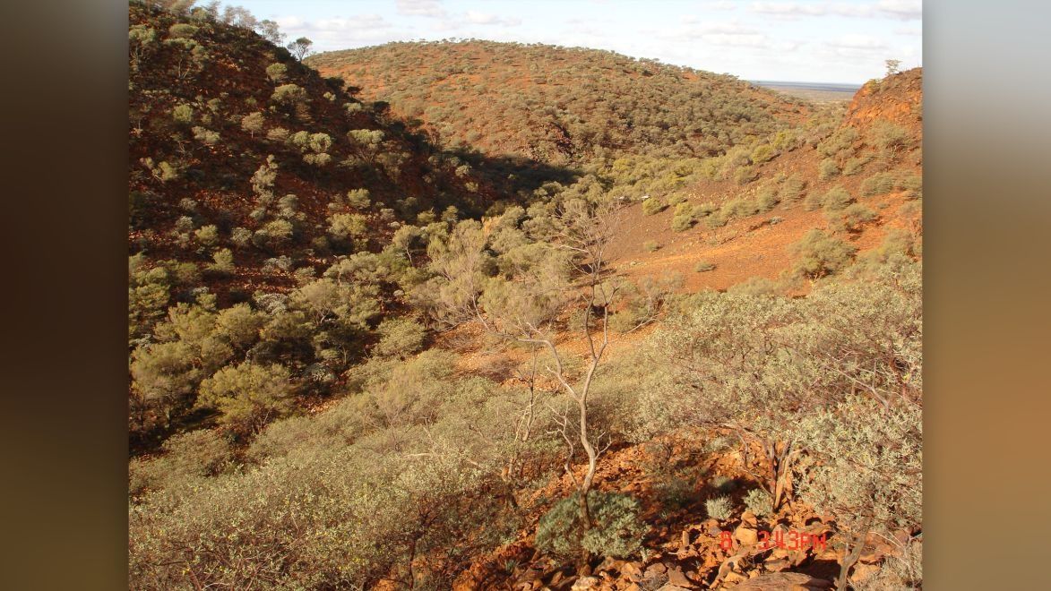 行星 生命的起源可能與此有關？地球是目前唯一已知具有板塊構造的行星