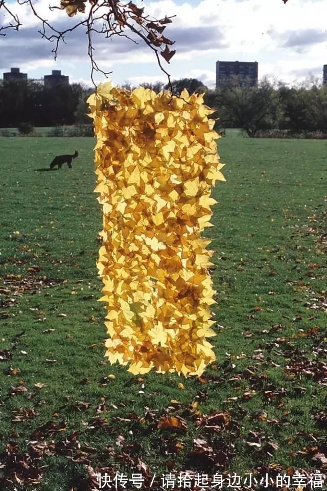 艺术家|他用最简单的树叶、石头、羽毛，建了一座美到极致的自然美术馆