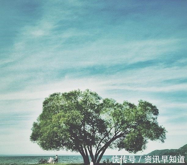 收藏|为人处世的智慧语录,句句受用,值得收藏一生!