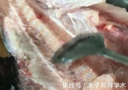 鱼丸的做法原来如此简单,嫩滑Q弹,干净卫生无添加,鱼香四溢