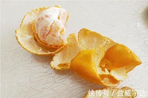 这2样东西,丢了是垃圾,养花却是宝贝,家家户户都有