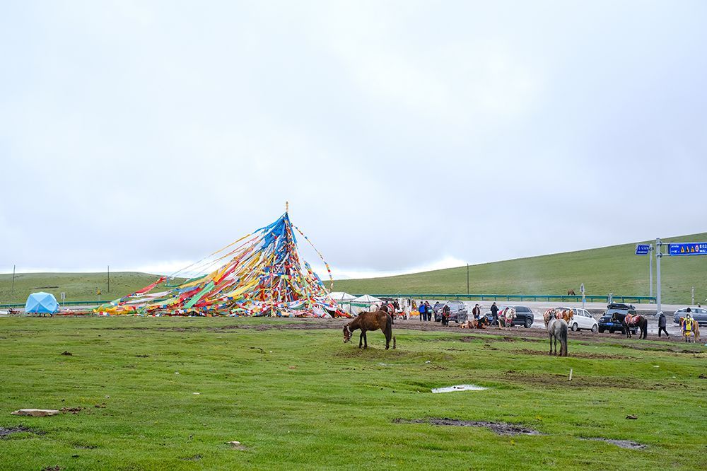 标致4008|标致4008环青海长测Day9：鸟岛叫“蚊子岛”，沿青海沿线达刚察！