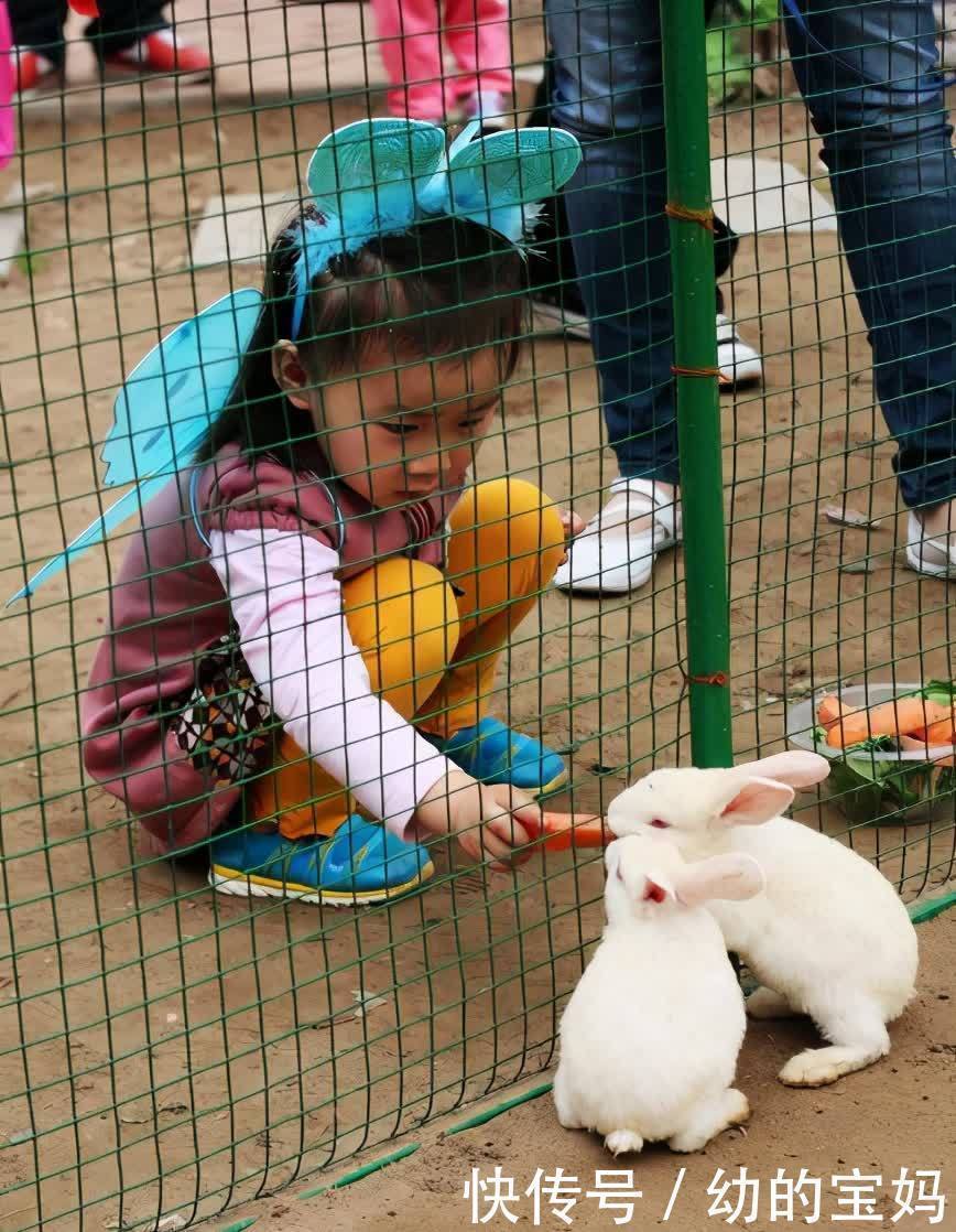 神秘岛|哈佛校长:多带孩子去这5个场所,比在家看书有意义,长大更优秀