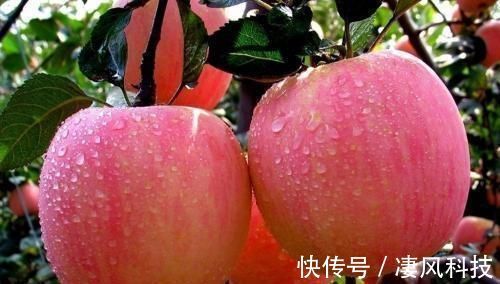 筷子|空腹吃这几种水果,越吃越苗条瘦出A4腰,筷子腿不成问题