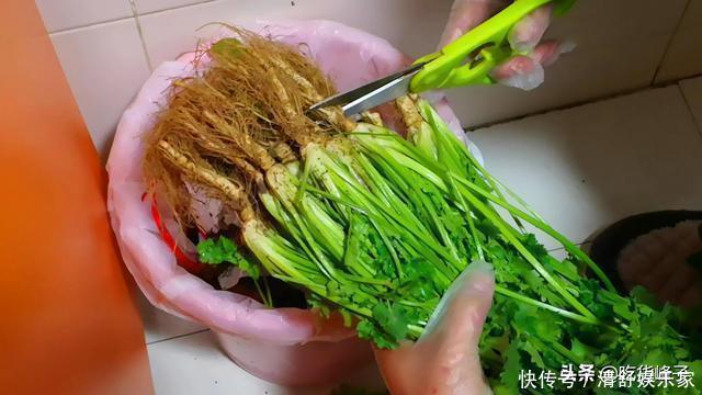 峰子|刚知道，香菜要这样保存，随吃随取，和刚买的一样新鲜，特简单