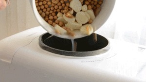 自制豆浆是用干豆还是湿豆跟我做,1天1杯,神清气爽,安心入睡