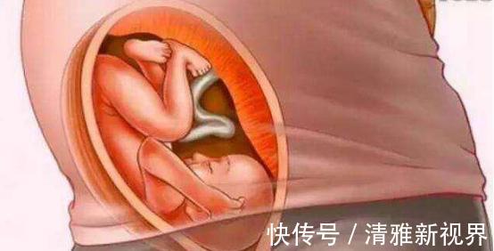 发育|宝宝是怎么被慢慢孕育出来的,十张过程图,一切来之不易