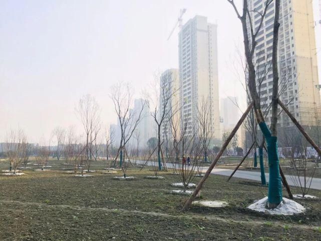 居住区|大丰这个区域将是城北高端居住区？很有可能！