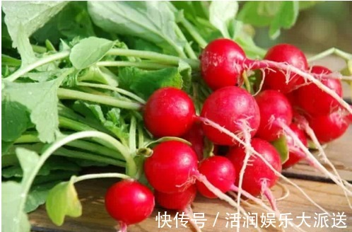 阳台|婆婆在阳台种“高钙菜”，15天摘“1篮子”，口感爽脆能“减肥