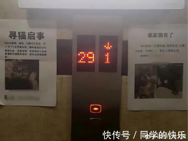 |翻开前信誓旦旦:这一定是米奇 冷段子2023