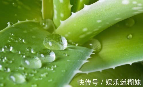 shen|便秘的源头找到了！牢记3大解决方法，大便一通到底