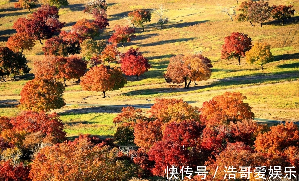 胡杨林|适合金秋季节出行的八大景点，秋色美游客少，11月就这样安排吧