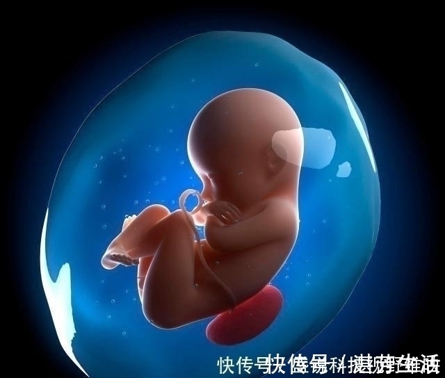 肚子|怀孕后,若孕妈有3个“特殊”表现,说明胎儿很聪明,恭喜你