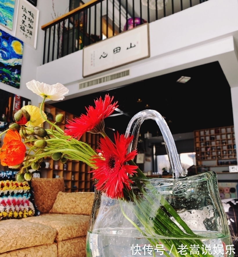 黄雅莉|《向往》女嘉宾凌晨四点才睡,做了一件让何炅很感动的事