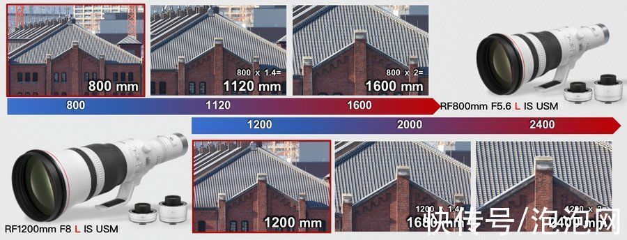 超远摄|佳能推出L级RF800和RF1200专业超远摄镜头