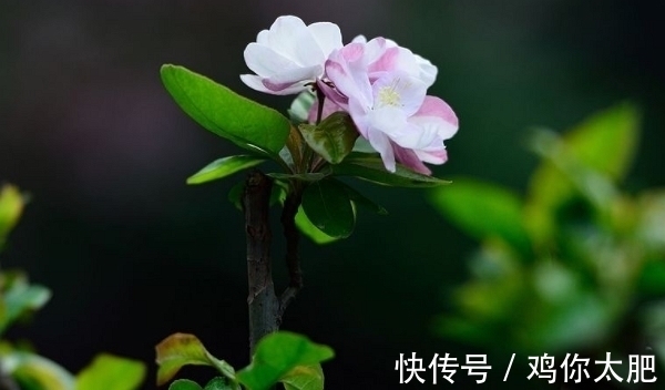 天蝎座|9.1号开始,好运来临,财运挡不住,吉祥关照,事业有成