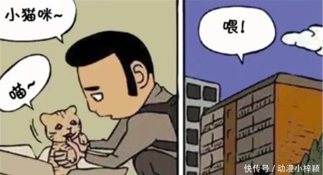 回家|搞笑漫画：男孩捡了一只小动物回家，5年后，爸爸突然失踪了！