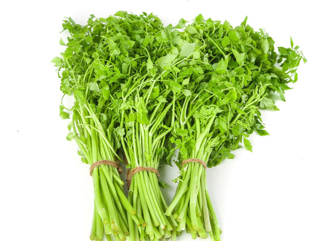 野菜|49种野菜大图片，带你见识不同的野菜和吃法，你想要的野菜这里有