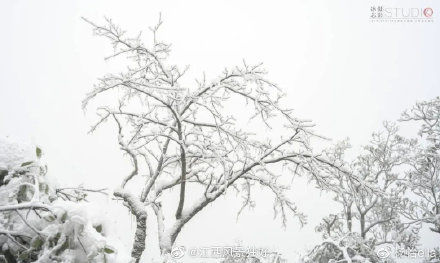 仙山|江西三清山游记：这座仙山，产在人间