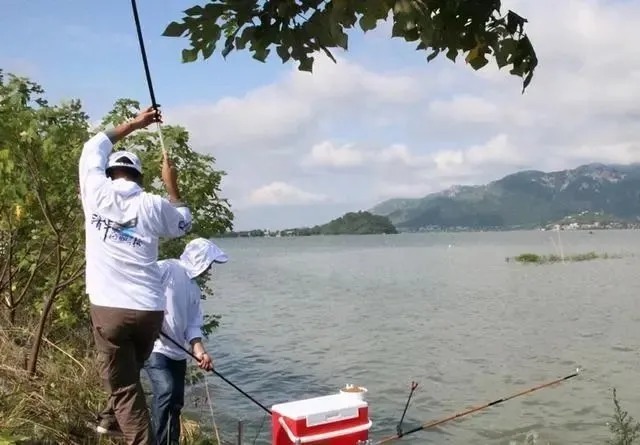 铅坠|走水严重无法观漂，这几种钓法完美解决问题，钓鱼大师都在用