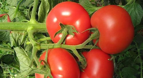 慢性咽炎的“福音”找到了!每天吃一点,润嗓利喉,嗓子越来越好