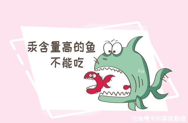 畸形|吃鱼对胎儿好但这几种会影响胎儿智力的鱼,孕妇尽量要少吃