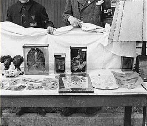 臭味|她买到一盏有纹身的灯罩,还散发一股臭味,专家:这是用人皮缝的