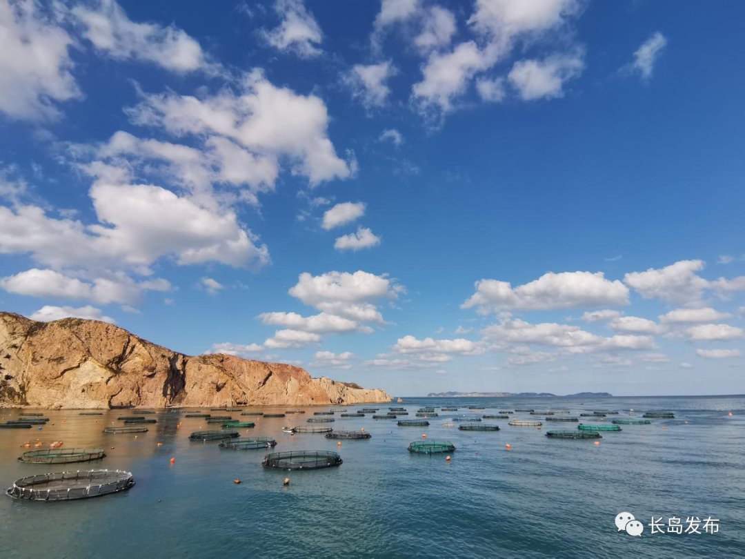 碧波|在长岛，领略北方海岛的魅力