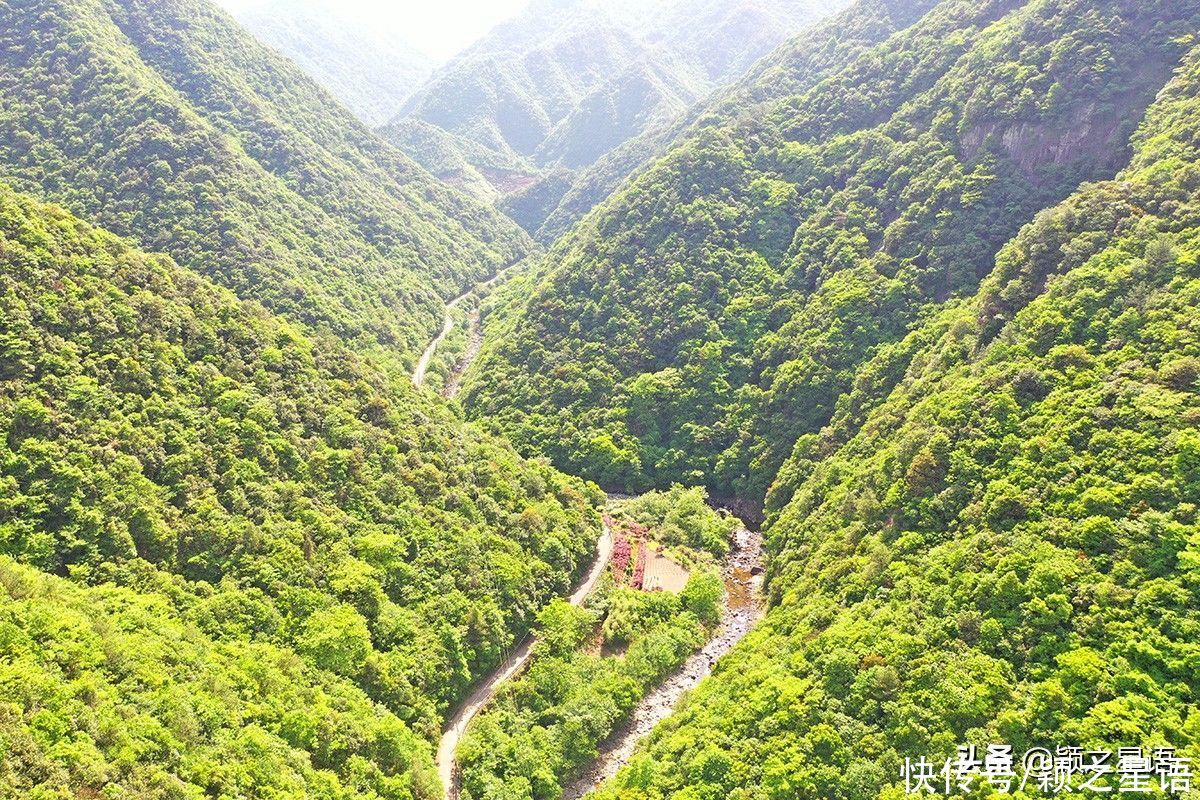 发酵|新时代的隐居生活，住城里钱不够花，隐居深山没处花钱