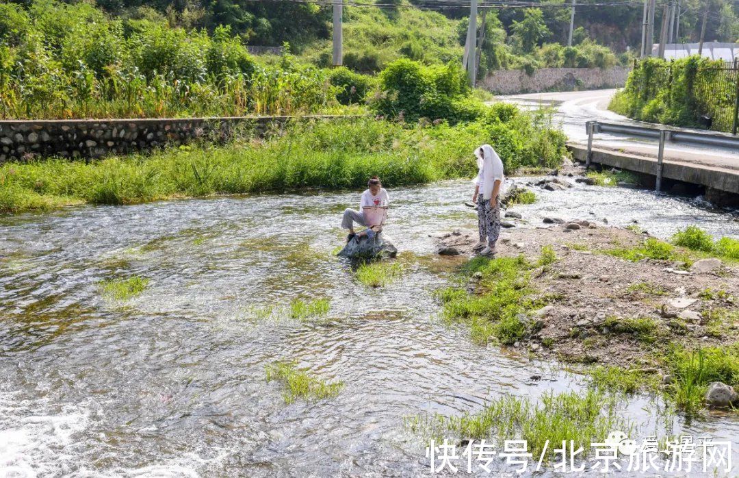 居庸关|这个风景秀美的村庄，溪流叠水，野花遍地，现在去正好~