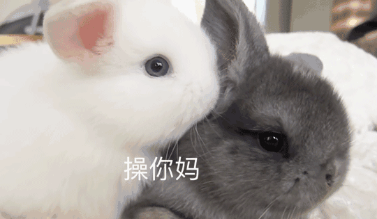 |搞笑表情包|来嘛~