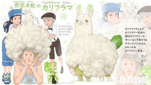 精灵|世界上最菜的狗能有多菜？这个日本人给出了意想不到的答案