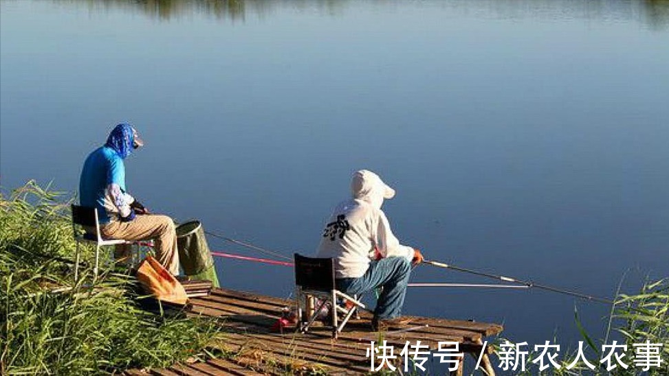 轮椅|钓鱼人!重庆一大爷坐轮椅在河边垂钓,下一秒中鱼竟自己站了起来