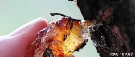 蜂王浆|女人别太节俭4种“零食”要多吃,美白养颜,延缓衰老更年轻