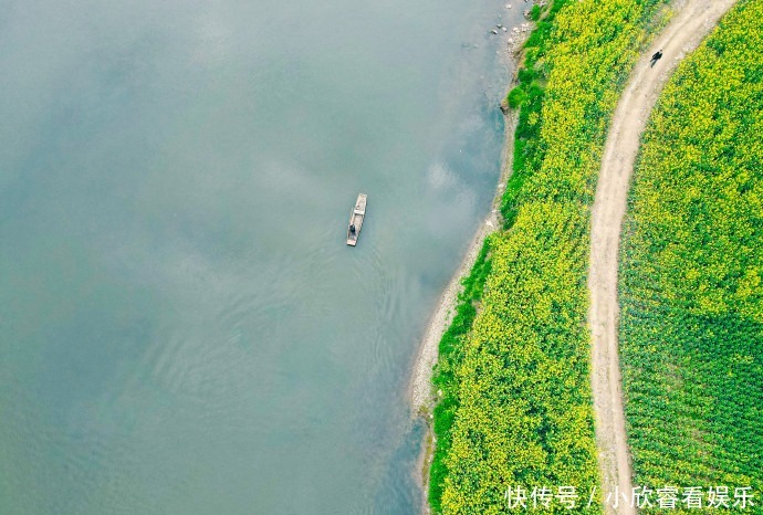 抢先打卡！邛崃油菜花海上线，快点进来～