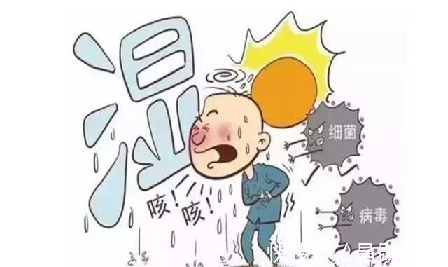 大白菊|“天然祛湿王”终于找到了, 每天吃一点, 湿气排干净, 体重也降了!