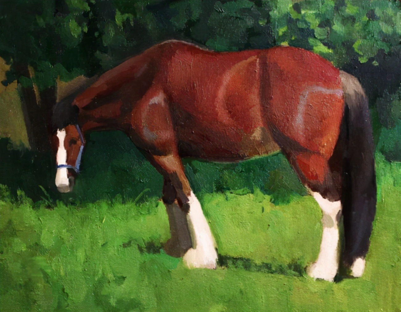 获奖$88年的他,大学才开始画画,却获奖无数