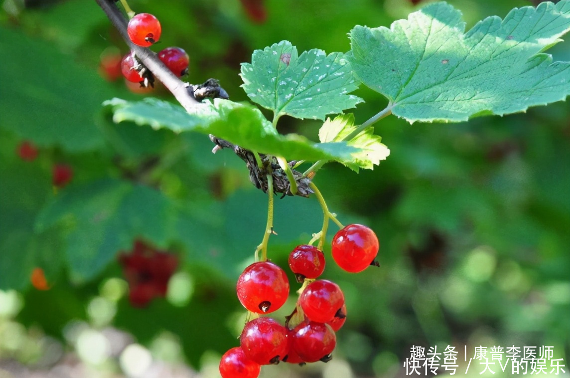 不想身体变老，多吃几种食物，促进代谢，延缓